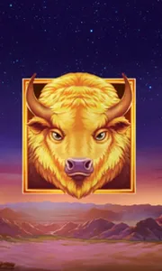 Buffalo's Sun 2